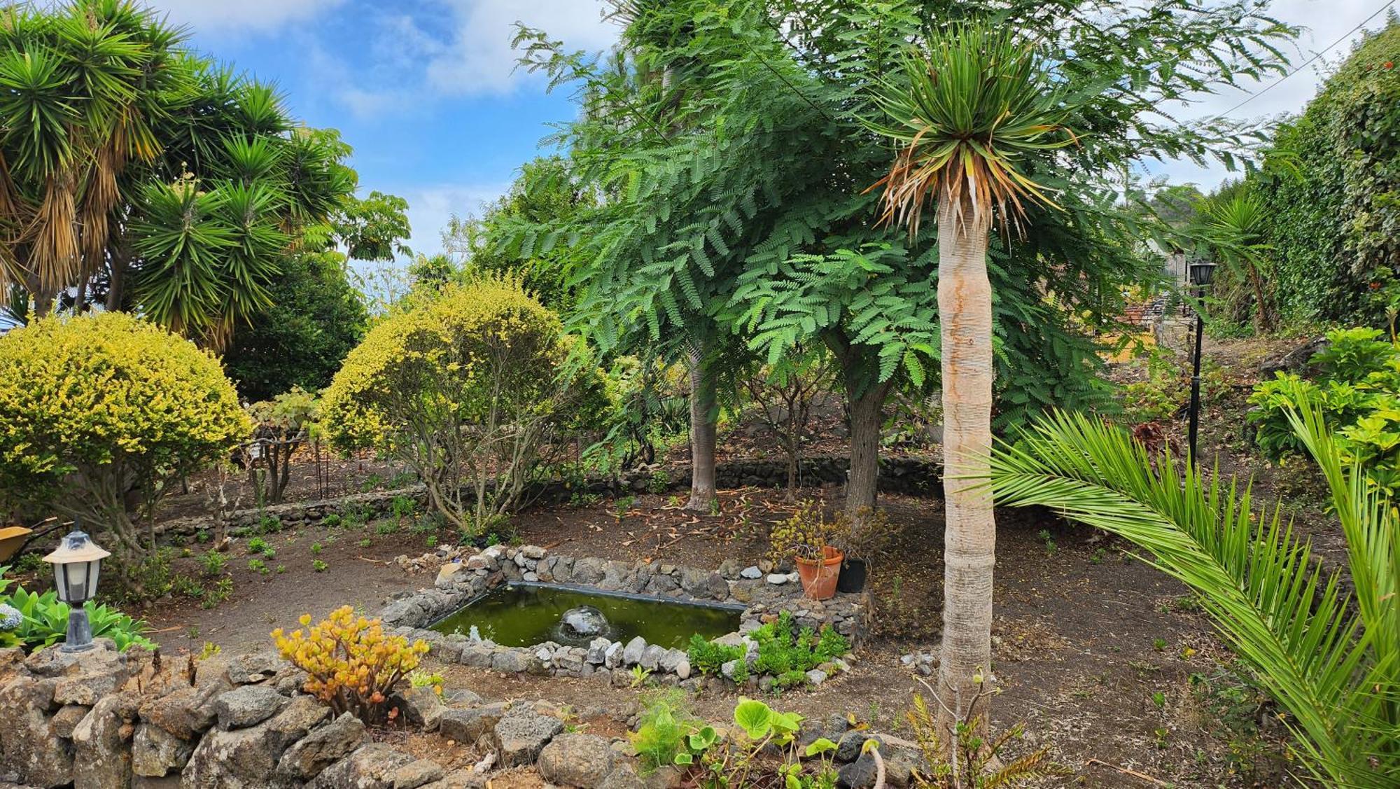 Oasis Hill Botanical Garden Villa Icod De Los Vinos Luaran gambar