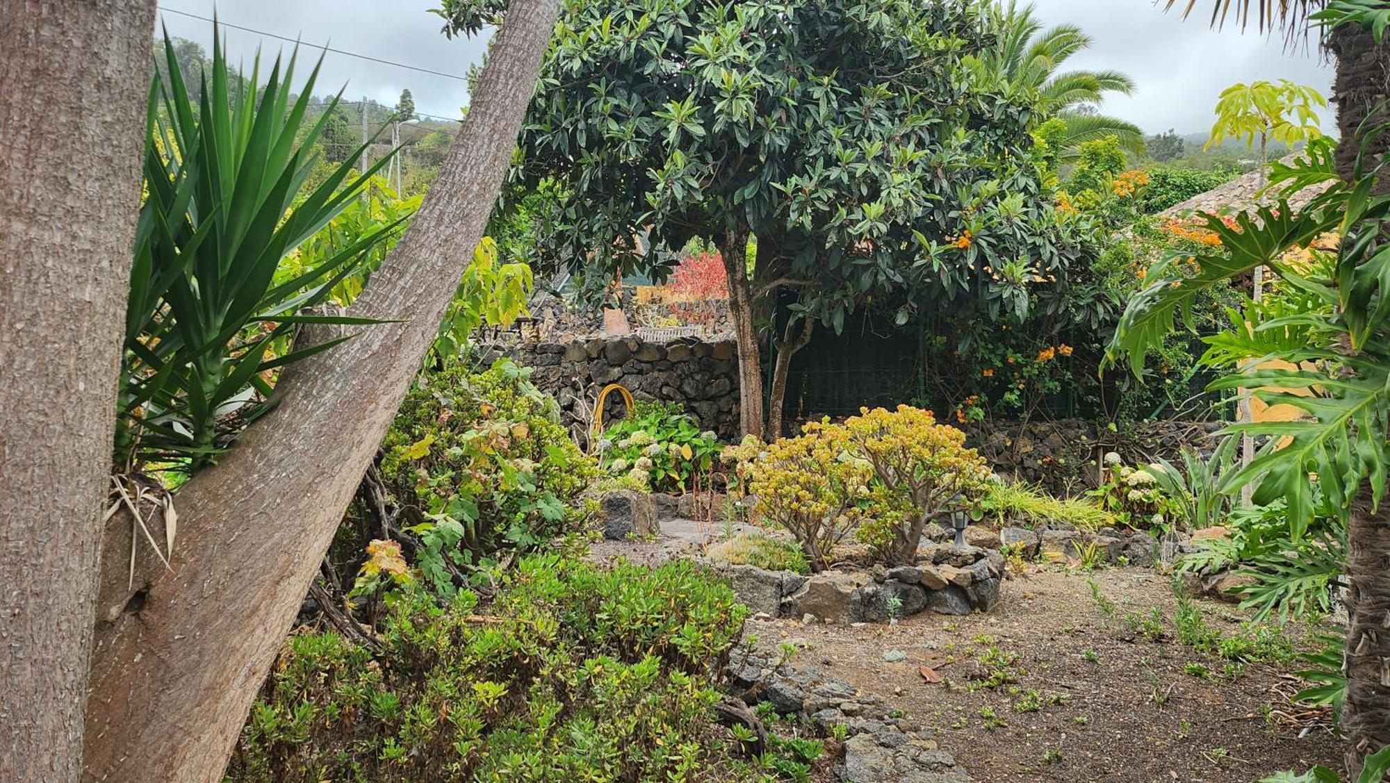 Oasis Hill Botanical Garden Villa Icod De Los Vinos Luaran gambar