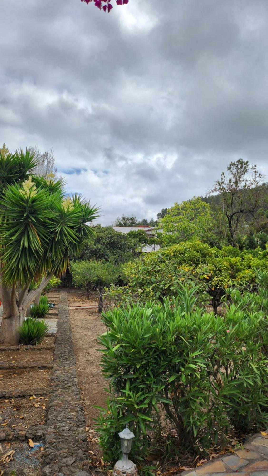 Oasis Hill Botanical Garden Villa Icod De Los Vinos Luaran gambar
